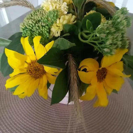 Na Kaszubach, Borowy Mlyn, Jezioro Gwiazda, Sauna, 4