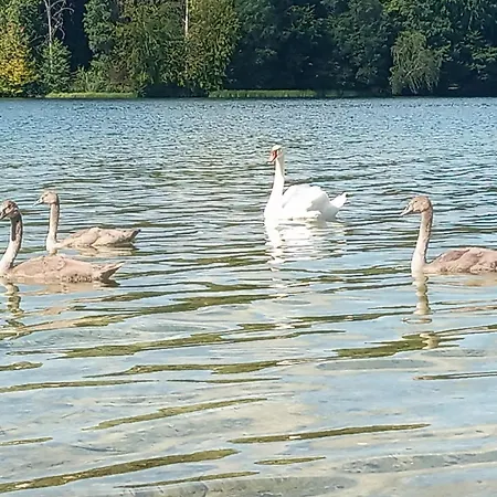Na Kaszubach, Borowy Mlyn, Jezioro Gwiazda, Sauna, 4 Casa vacanze Borowy Mlyn