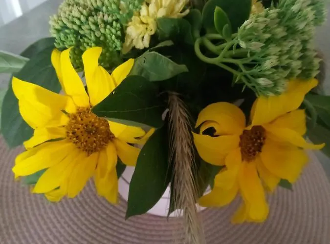 Na Kaszubach, Borowy Mlyn, Jezioro Gwiazda, Sauna, 4